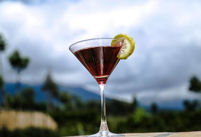 هتل Ingagi Park View Lodge