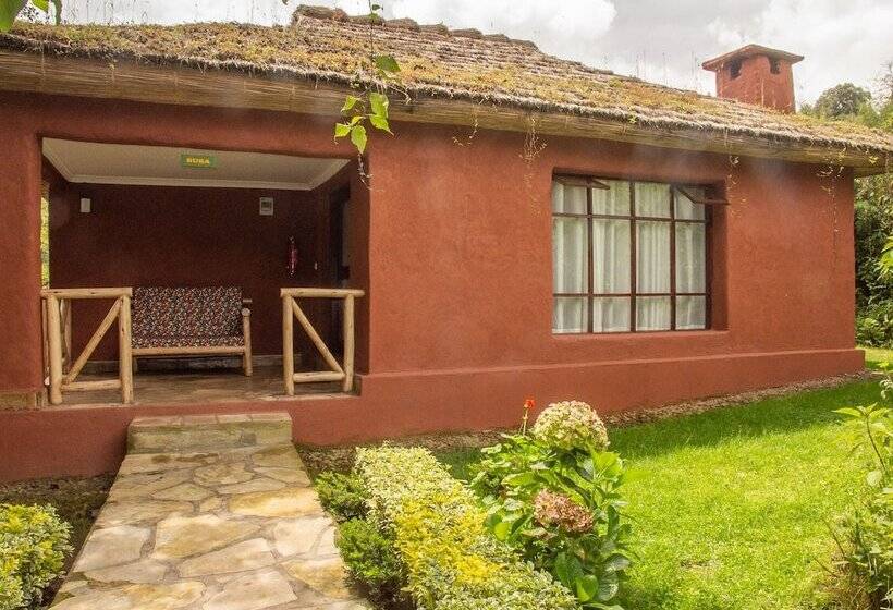 هتل Ingagi Park View Lodge