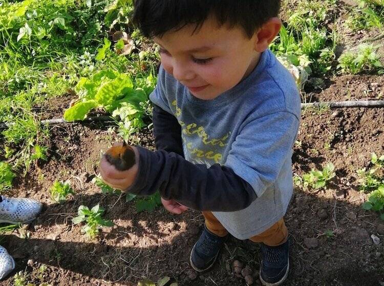 בית מלון כפרי Agriturismo Castanito