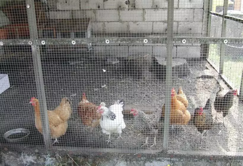 ペンション Reiterhof Wollesen