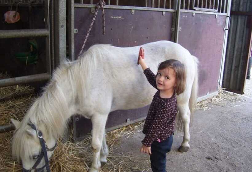 펜션 Reiterhof Wollesen