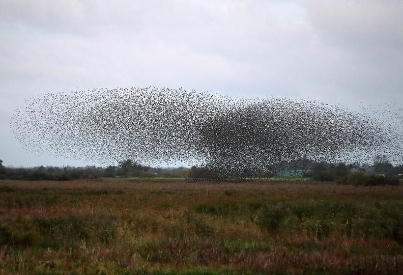 ペンション Reiterhof Wollesen