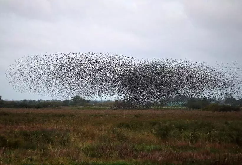 ペンション Reiterhof Wollesen