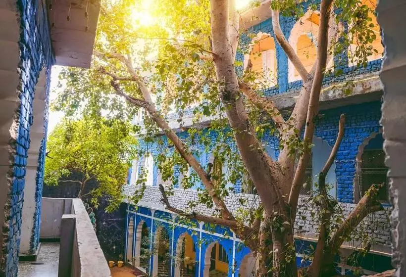 Auberge Hide In Pushkar