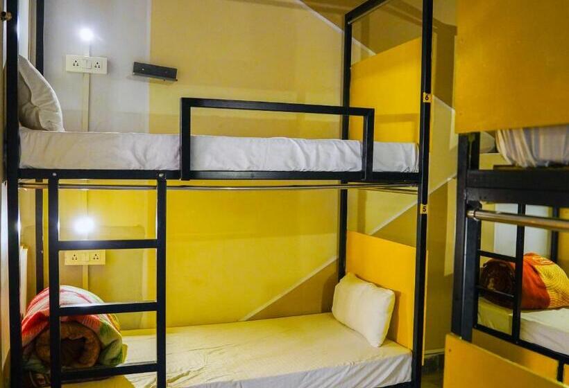 Vandrarhem Hide In Pushkar