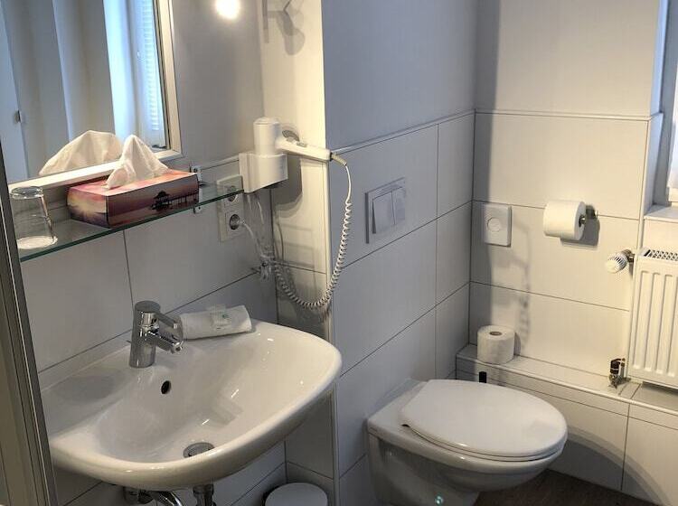 호텔 Gasthaus Zum Schwan