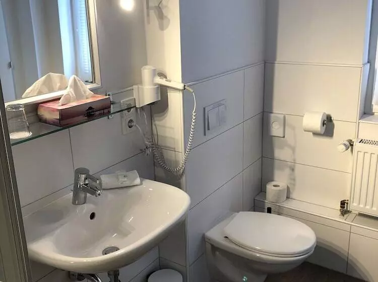 Hotelli Gasthaus Zum Schwan