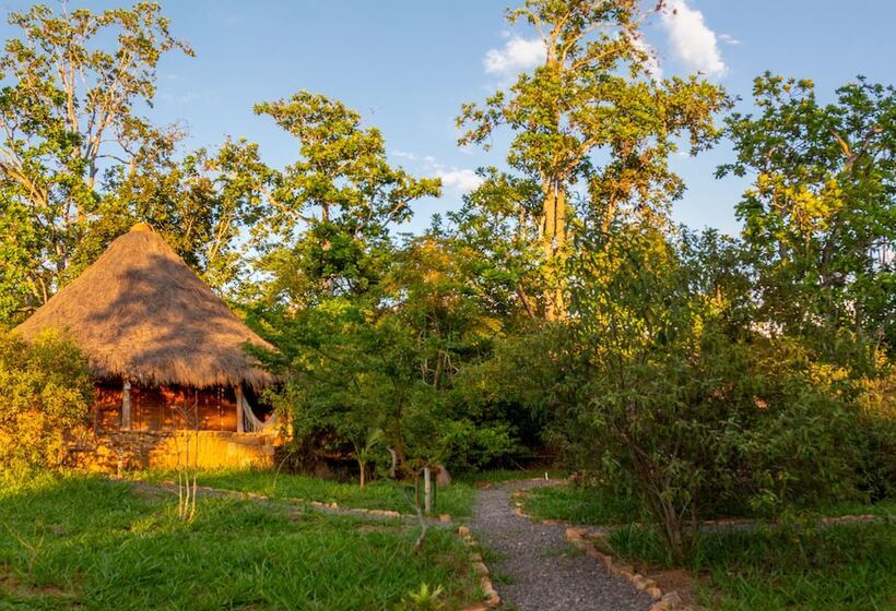 هتل Nativo Glamping