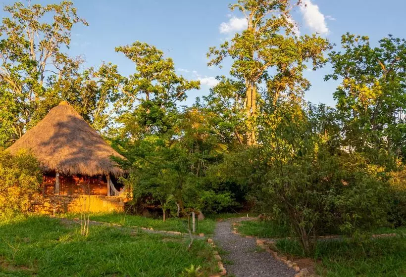 ホテル Nativo Glamping