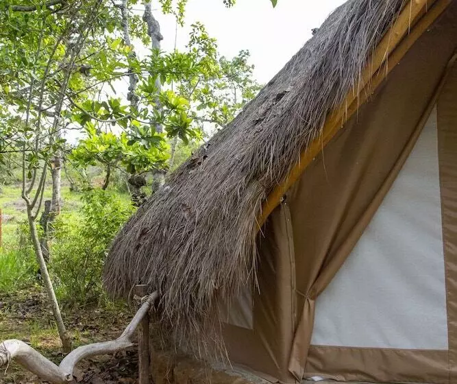 ホテル Nativo Glamping
