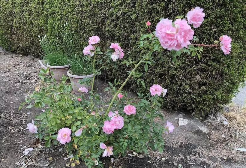 تختخواب و صبحانه Charming Family