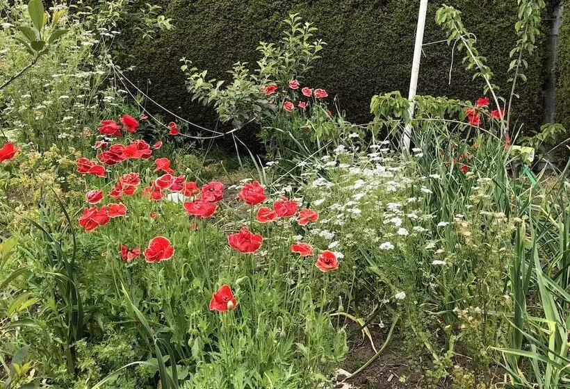 تختخواب و صبحانه Charming Family