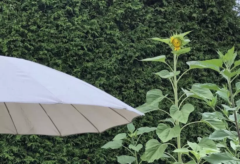 تختخواب و صبحانه Charming Family