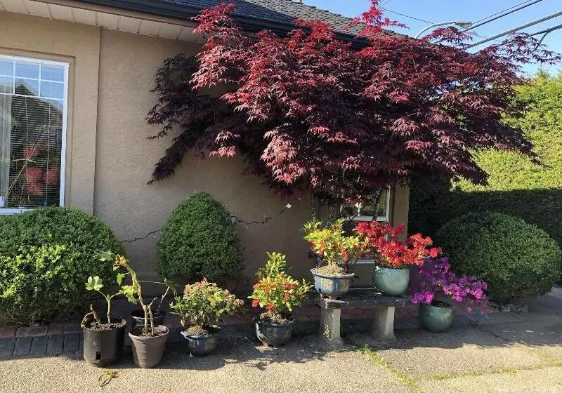 تختخواب و صبحانه Charming Family