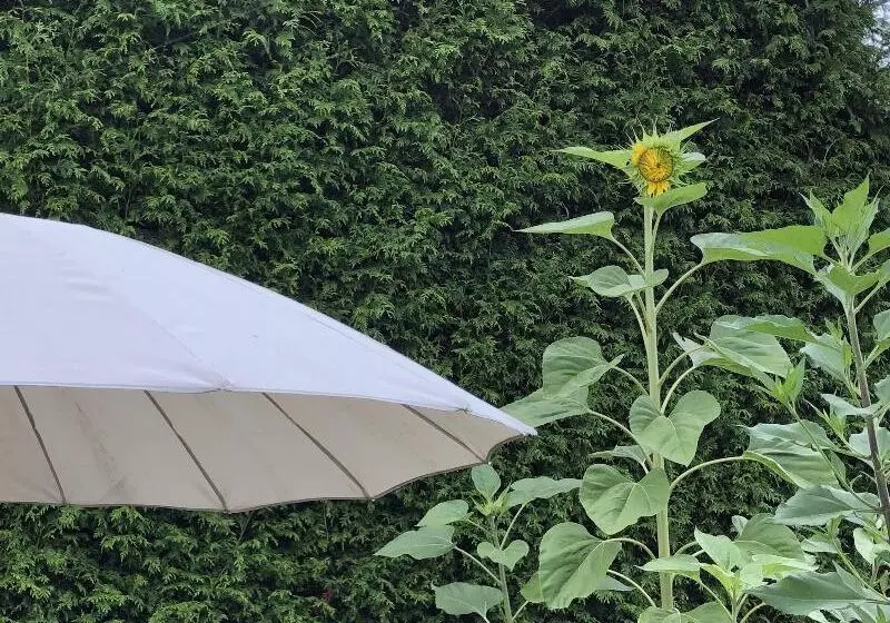 تختخواب و صبحانه Charming Family