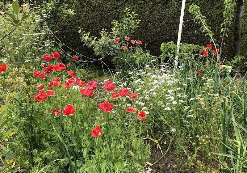 تختخواب و صبحانه Charming Family