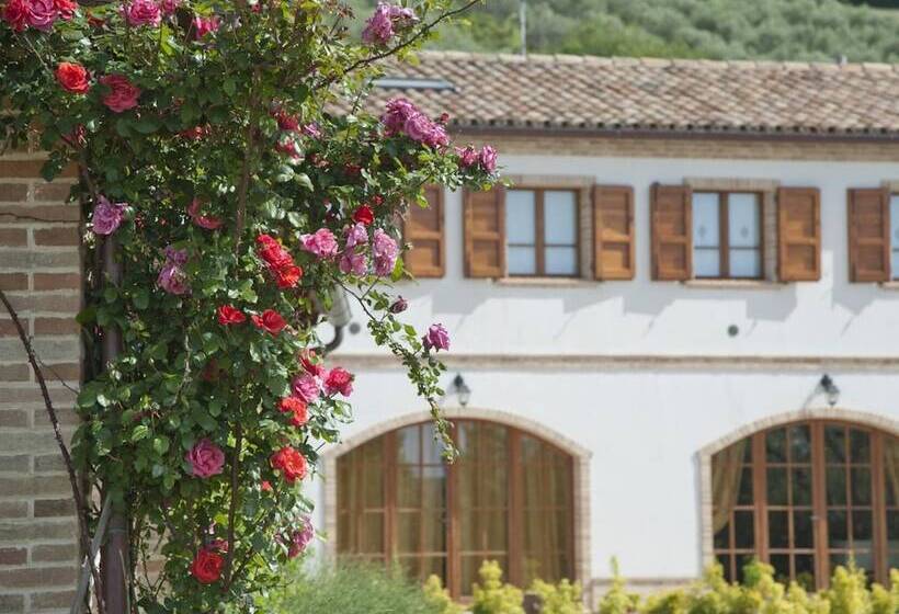 فندق ريفى Terra Del Sole