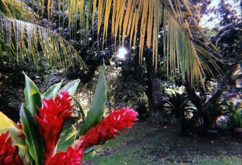 בית מלון כפרי Santa Luisa Finca Boutique