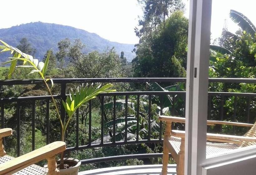 پانسیون Lilly Guest Inn