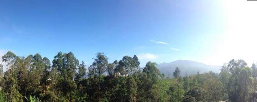 پانسیون Lilly Guest Inn