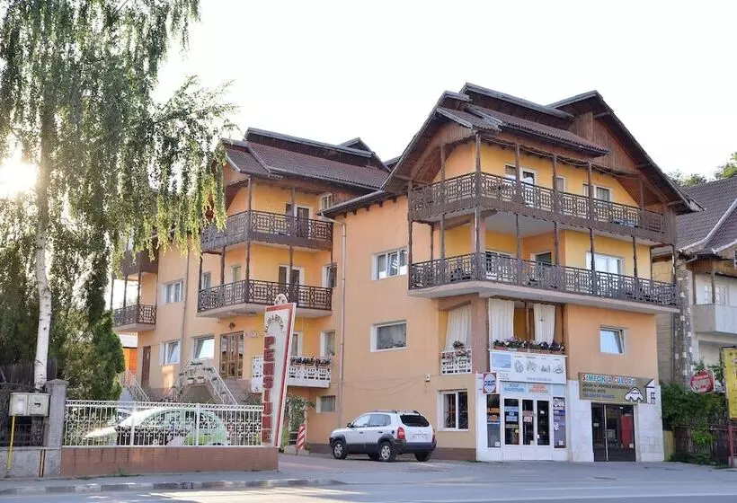 Pension Elisabeta