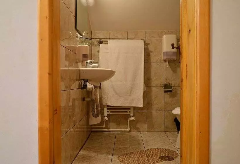 Pension Elisabeta