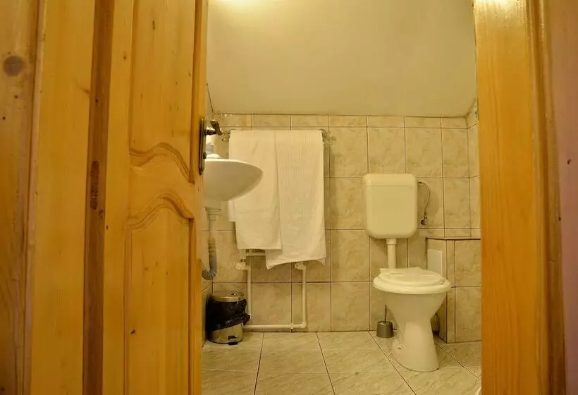 Pension Elisabeta