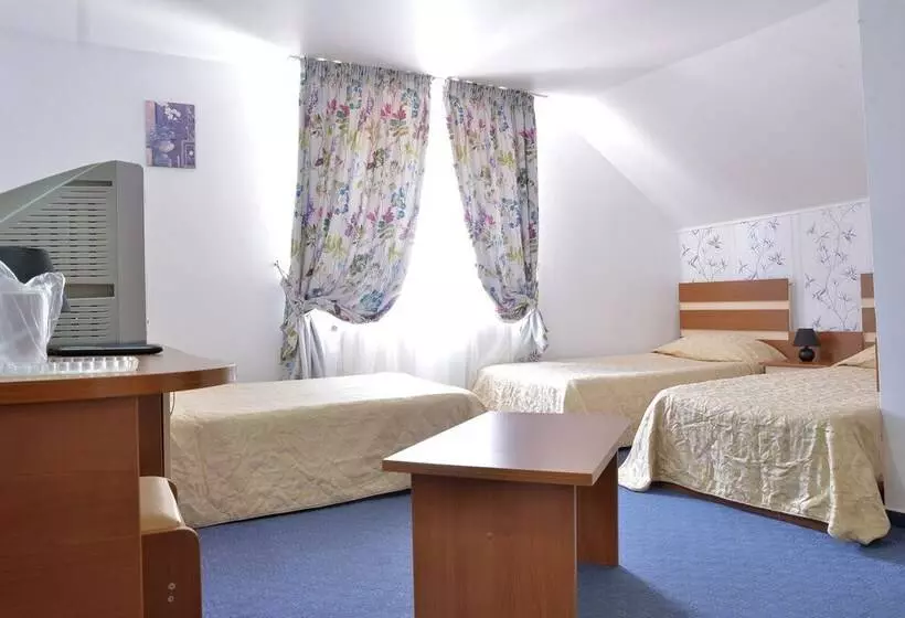 Pension Elisabeta