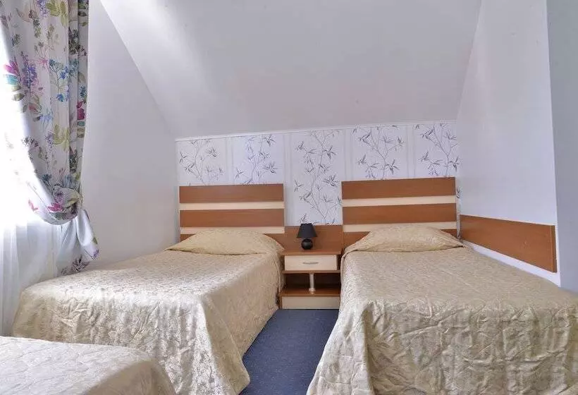 Pension Elisabeta
