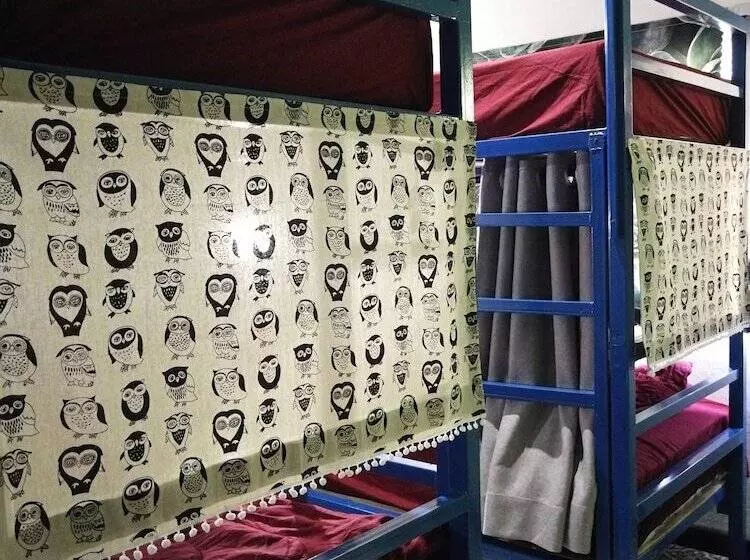 Lao Huk Bed And Cafe   Hostel