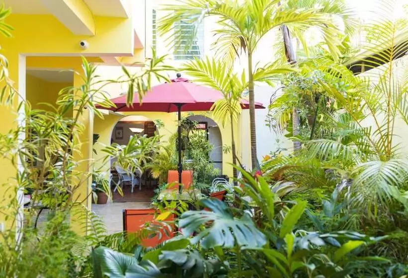 پانسیون Andalucia Guest House