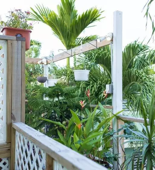 پانسیون Andalucia Guest House