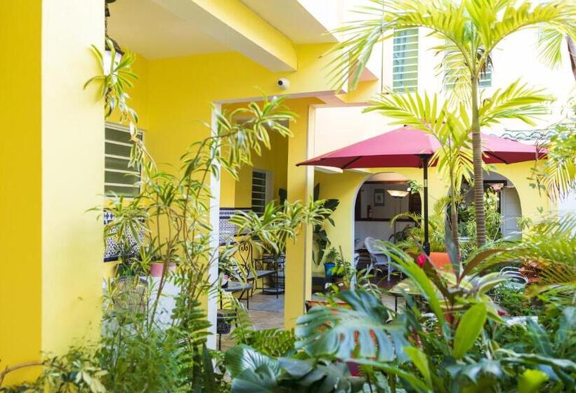 پانسیون Andalucia Guest House