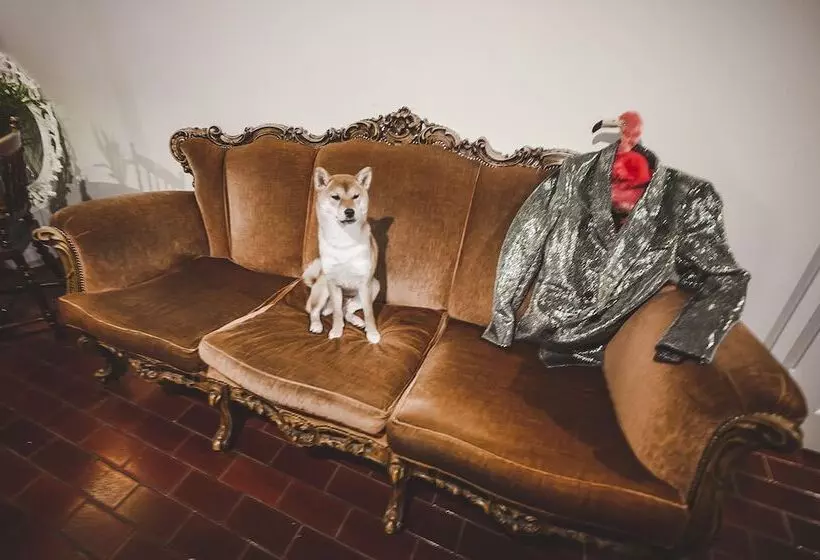 Wherever Mini Hostel