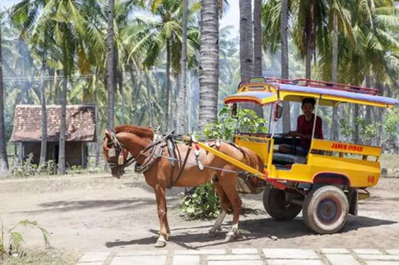 ベッドアンドブレックファースト Dream