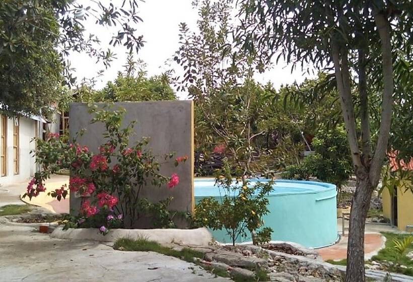 בית מלון כפרי Bougainvillea Paradise Campground