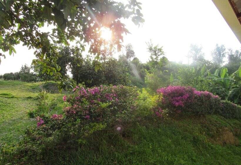 هتل Rebero Kivu Resort