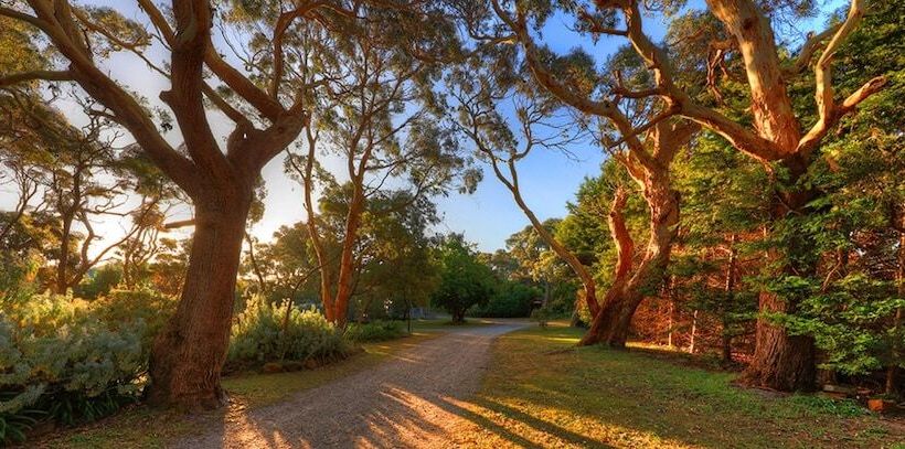 Stanley Lakeside Spa Cabins