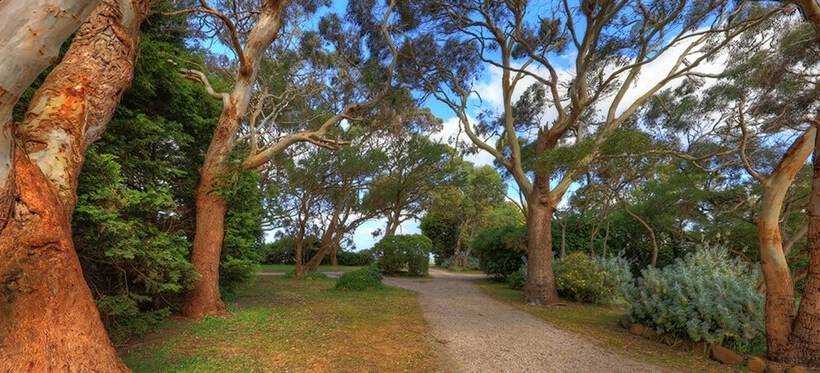 Stanley Lakeside Spa Cabins