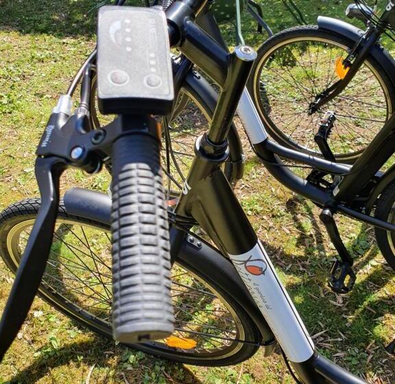 تختخواب و صبحانه Il Giardino Del Pettirosso