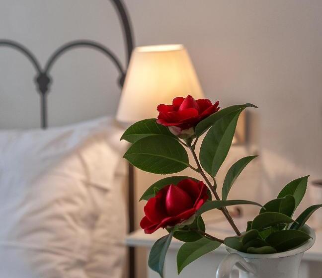 تختخواب و صبحانه Il Giardino Del Pettirosso