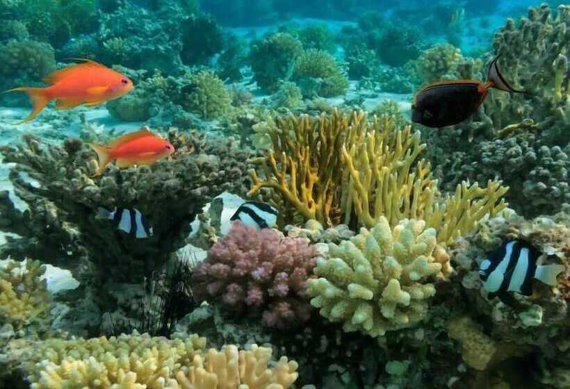 Bed and Breakfast Surf Ocean Villa