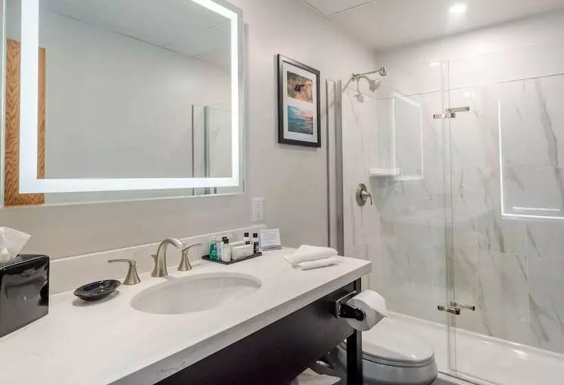 The Courthouse Hotel, Ascend Hotel Collection