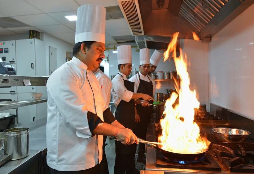 호텔 The Fern Residency Jaipur