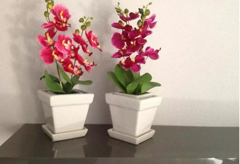 تختخواب و صبحانه Enna Inn Centro