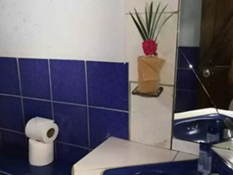 ホテル Rincon De La Vieja Lodge