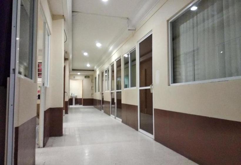 Bed and Breakfast Casa Zocalo