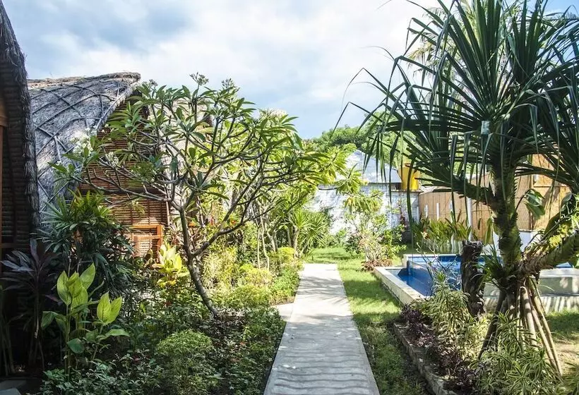 هتل Cotton Tree Cottages