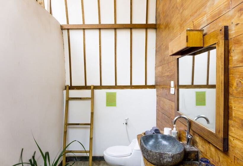 ホテル Cotton Tree Cottages