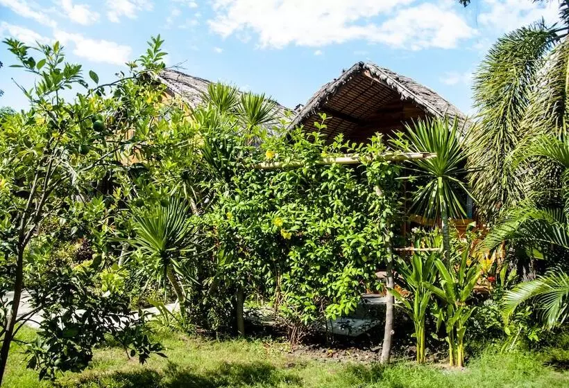 هتل Cotton Tree Cottages